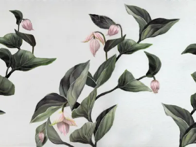 Carta da parati Medinilla di Inkiostro Bianco