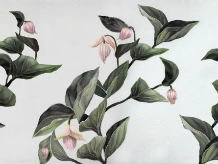 Carta da parati Medinilla di Inkiostro Bianco
